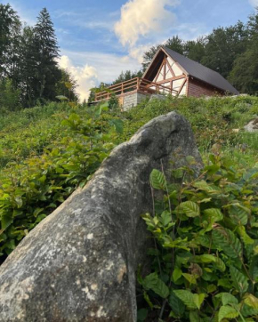 Sara’S Land